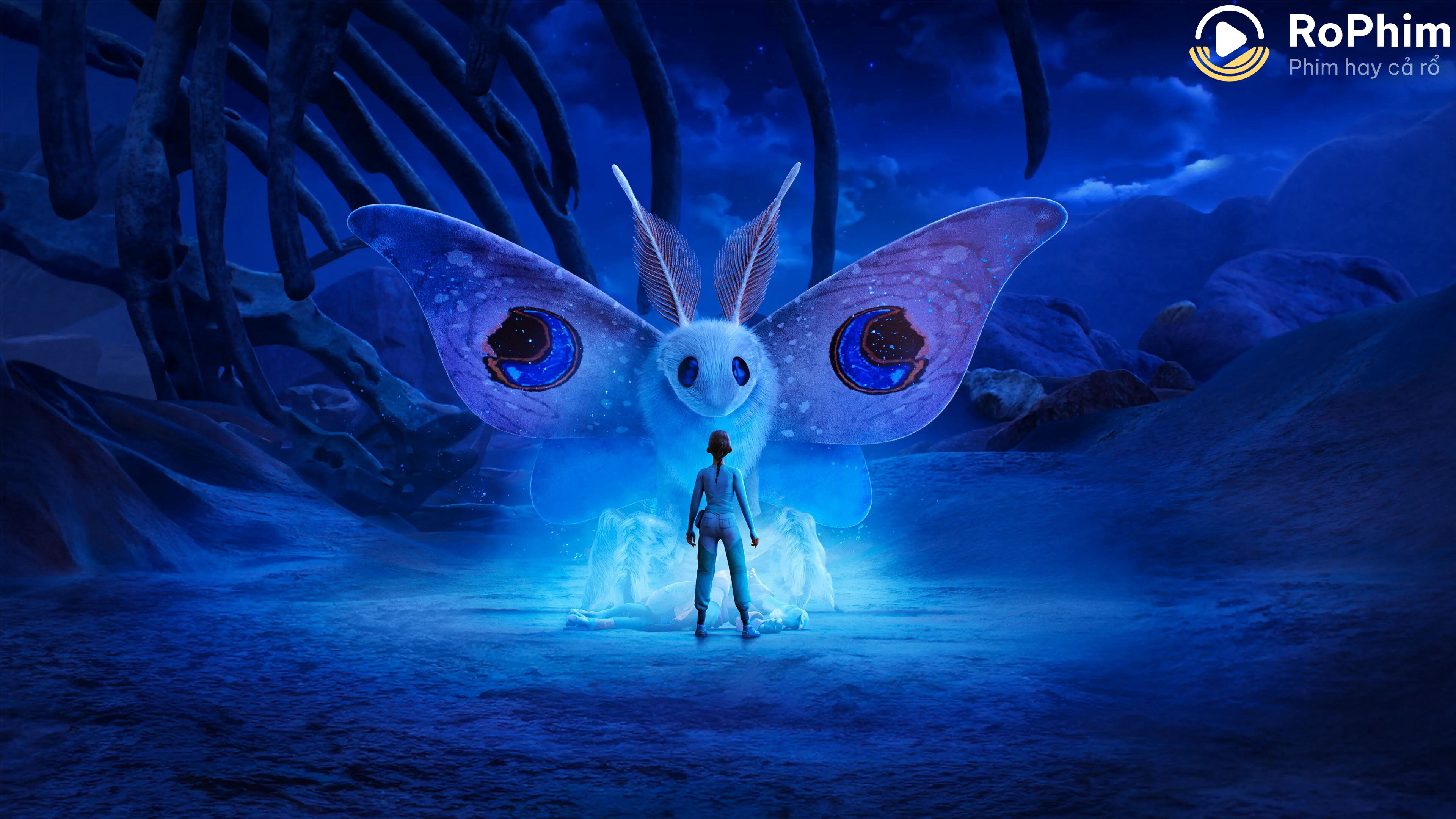 Đi Tìm WondLa – WondLa (Phần 3)